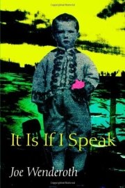 It Is If I Speak (Wesleyan Poetry Series) by Joe Wenderoth