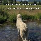 Deep Creek: Finding Hope in the High Country by Pam Houston
