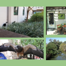 Hidden Gems of Davis